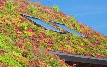 Mackerels Common living roof systems