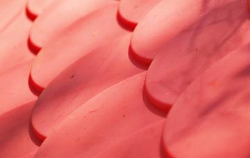 Mackerels Common plastic roof costs